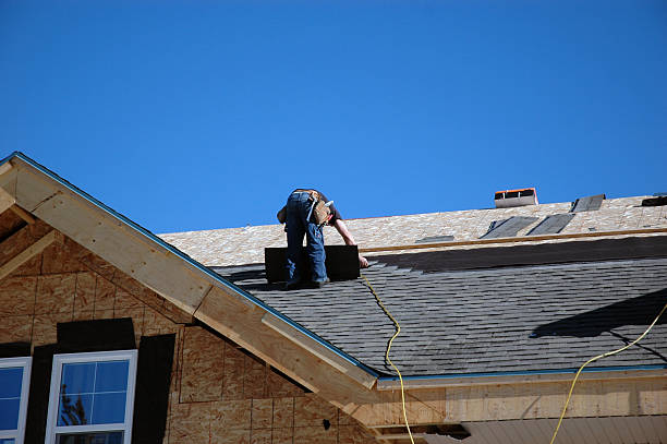 Best Roof Maintenance Services  in Edinburg, VA