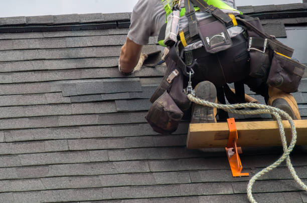 Best Storm Damage Roof Repair  in Edinburg, VA