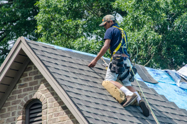 Best Flat Roof Repair Services  in Edinburg, VA