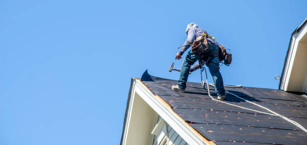 Best Residential Roofing Contractor  in Edinburg, VA